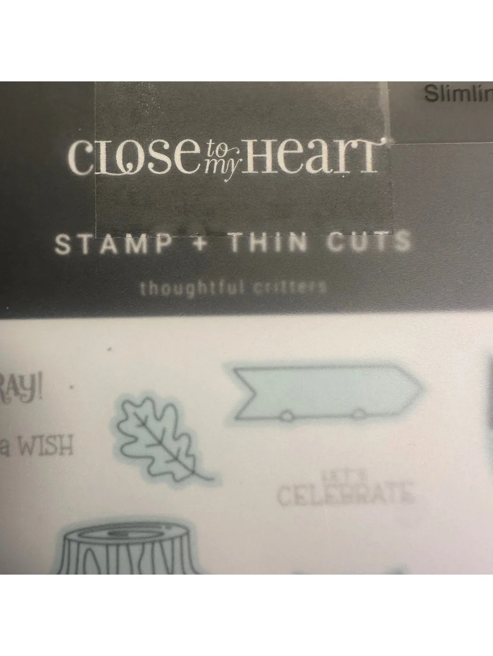 Close To My Heart CC9216 Thoughtful Critters Acrylic Stamp and Thin Cut Set